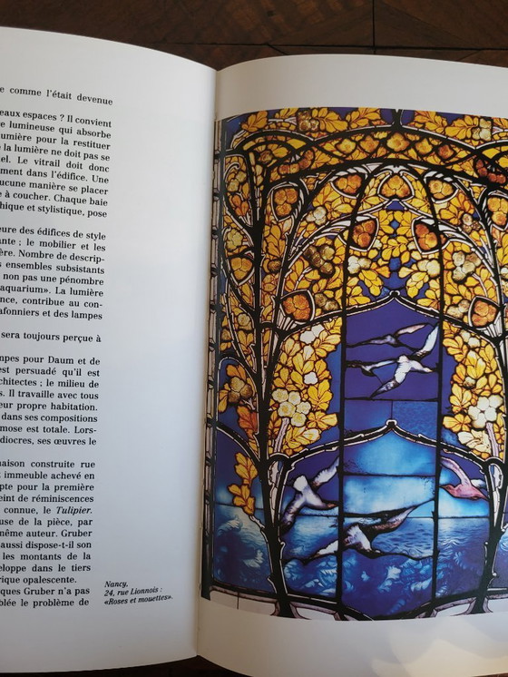 Image 1 of Libro Nancy 1900: Rayonnement de l'Art Nouveau (Edición francesa)