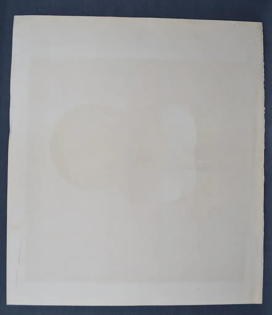 Litografía original de Frédéric Vidalens de los años 80, numerada 6/80, 1er estado y firmada por el artista (photo 9 of 9)