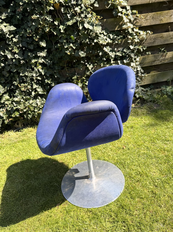 Image 1 of Little tip Artifort (blue)