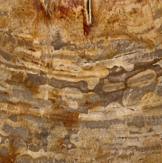 Image 1 of Madera fosilizada de Sooka, soporte hecho a medida (nuevo)