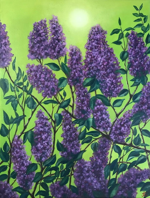 Frühlingssymphonie: Fliederblüten