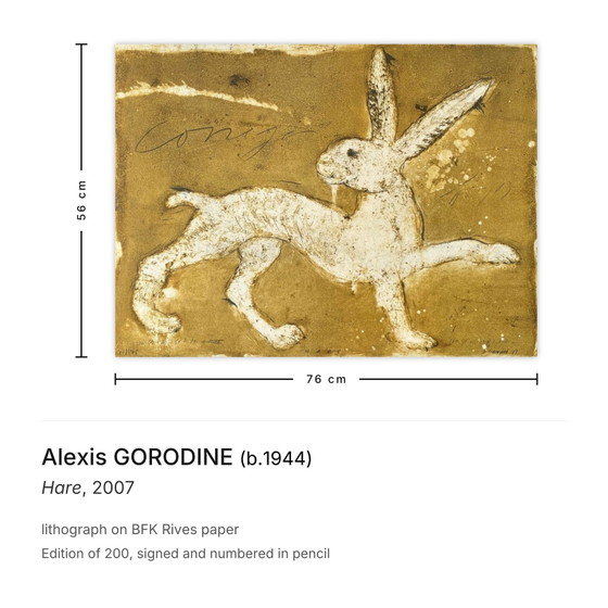 Image 1 of Litografía firmada por Alexis GORODINE Hare, 2007