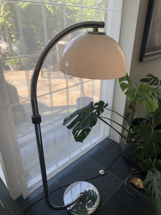 Image 1 of Séances de la lampe serpent Dijkstra