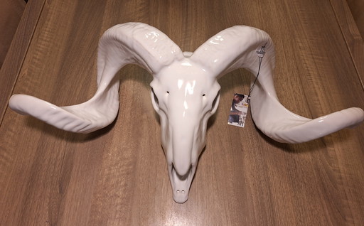 Beautiful Ceramic Aries Skull