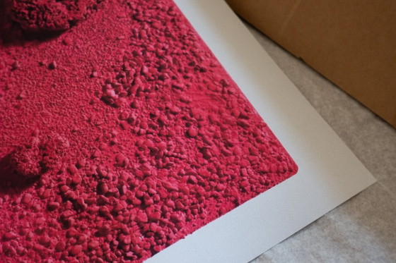 Yves Klein Relief-Éponge Rose (RE 26), 1960 - Poster 50×70 Cm – Affiches, Paper (photo 11 of 13)