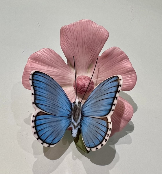 Image 1 of Franklin Mint 6 vlinders