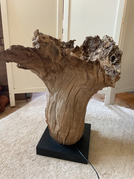 Magnifique lampe en souche d'arbre du Bhoutan