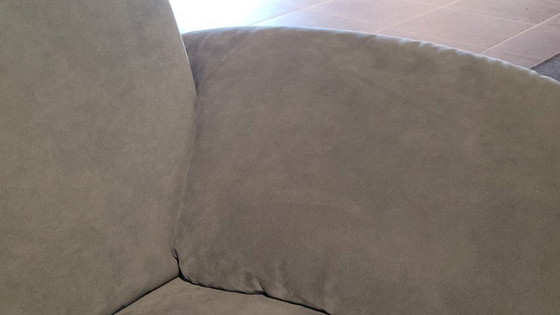 Image 1 of Catalpa Leolux Evidence