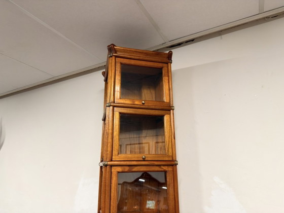 Vetrina da museo inglese originale Globe Wernicke – Vetrine, Vetro, Legno (photo 11 of 19)