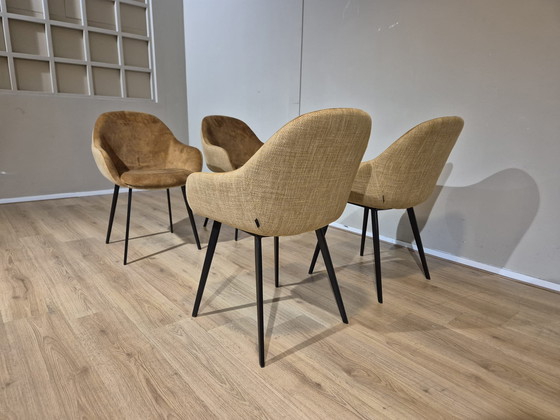 Image 1 of 6 Chaises Montel Nora - Salle à manger - Ocre - Cognac - Design