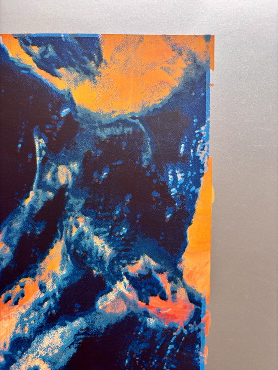 Image 1 of Zeefdruk van koikarpers