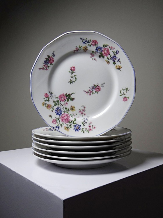 Image 1 of 7 Bernardaud Limoges porcelain dessert plates with floral decoration from the 1920s-1950s