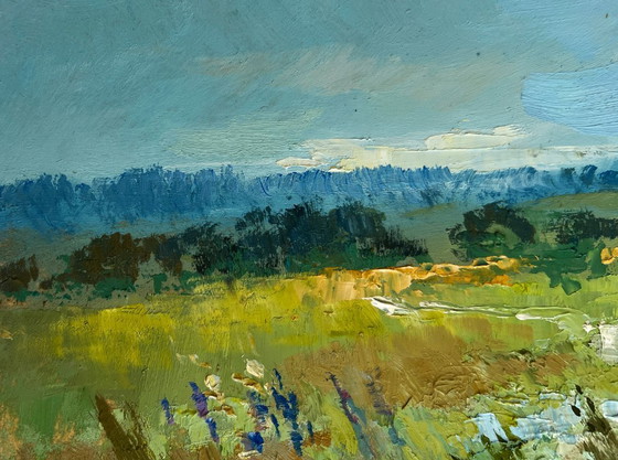 Image 1 of Original Oil Painting Summer Field Landscape On the summer flower meadows