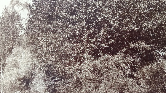 Image 1 of Carleton E. Watkins (1829–1916) Self portait on stone, Yosemite park.