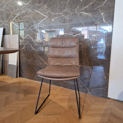 Arva, presidenta de KFF