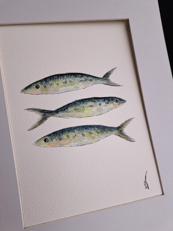 Image 1 of Acuarela de sardinas, original enmarcada.