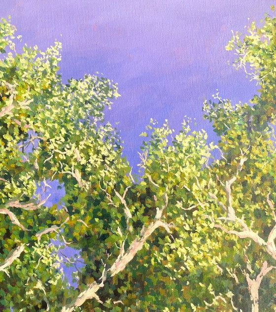 Image 1 of El cielo es el límite