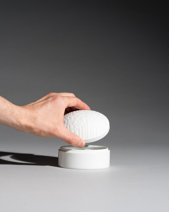 Image 1 of Rosenthal Anemone Porzellan-Trio kleiner Vasen mit Deckelbox von Rosemonde Nairac