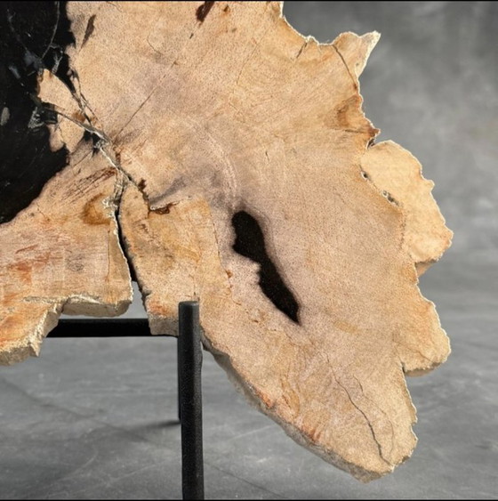 Image 1 of Madera fosilizada de Sooka, soporte hecho a medida (nuevo)