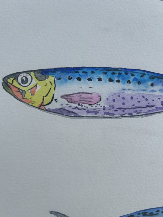 Acquerello Sardine – canson, Decorazioni murali, Paper (photo 3 of 8)
