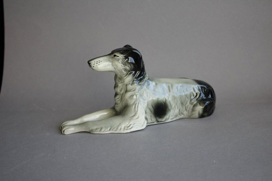 Image 1 of Galgo ruso (Borzoi), tumbado, con manchas blancas y negras, probablemente Scheidig Gräfenthal.