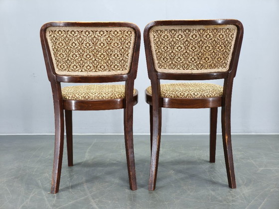 Image 1 of Set di 4 sedie da pranzo Thonet, Cecoslovacchia, anni '40