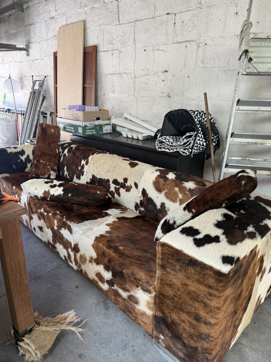 Image 1 of Divano di design a forma di mucca, pezzo forte del design