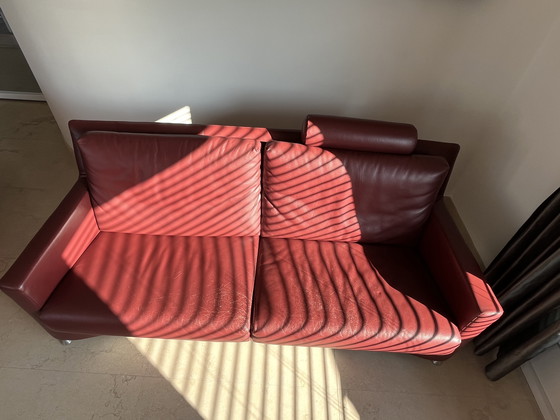 Image 1 of Leolux Paian