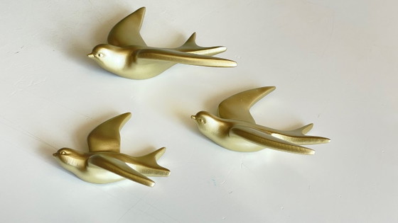 Image 1 of Hirondelles dorées