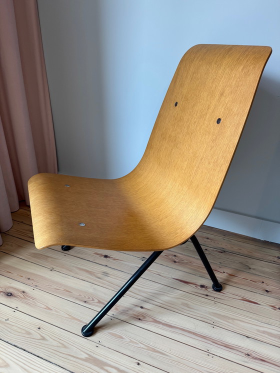 Image 1 of Jean Prouvé - Chaise Anthony
