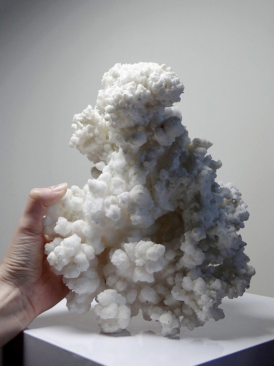 Image 1 of Collezione di minerali, esemplare antico di aragonite bianca dal Messico, +3,2 kg