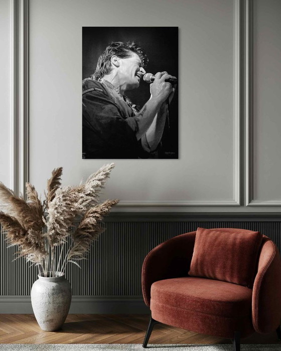 Image 1 of Herman couvée 1981 | Dibond avec Plexiglas 4/25