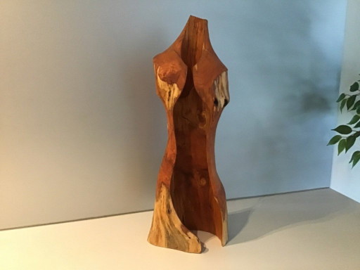 Torso de madera de Bart Ensing Nature Art