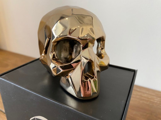Richard Orlinski SKULL SPIRIT skull 2021