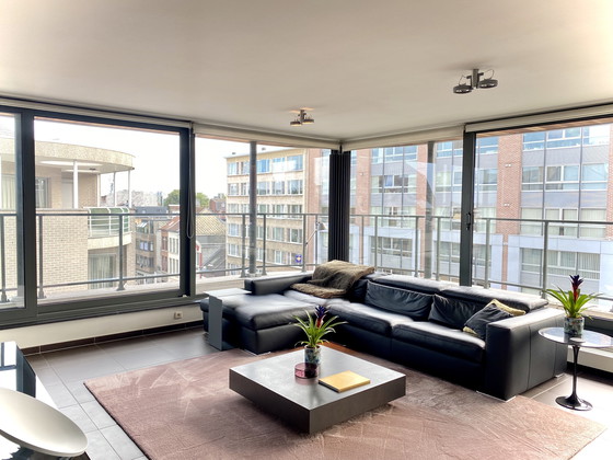 Image 1 of Teppich - JoV - 300x260cm