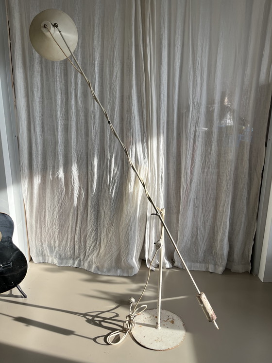 Image 1 of Stehleuchte & Pendelleuchte Artifort 1956