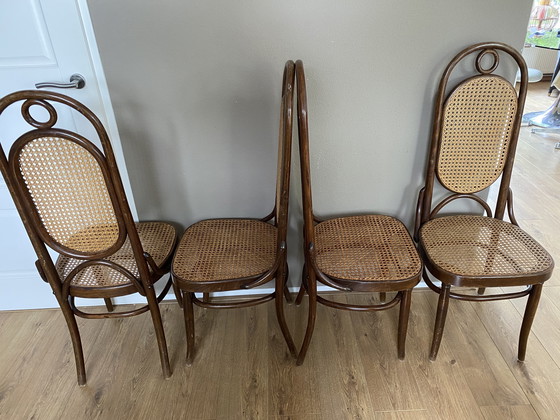 Image 1 of 4 sedie vintage in stile Thonet con cinghie Lange Jan