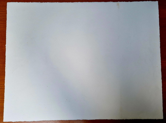 Image 1 of Litho Jan Sierhuis - La femme à cheval