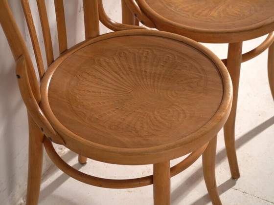 Antique chairs in Thonet style bentwood – Central Europe, circa 1930 #1 – Dining chairs (photo 28 of 40)