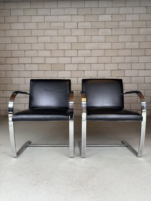 2x Chaise Knoll Brno par Ludwig Mies van der Rohe