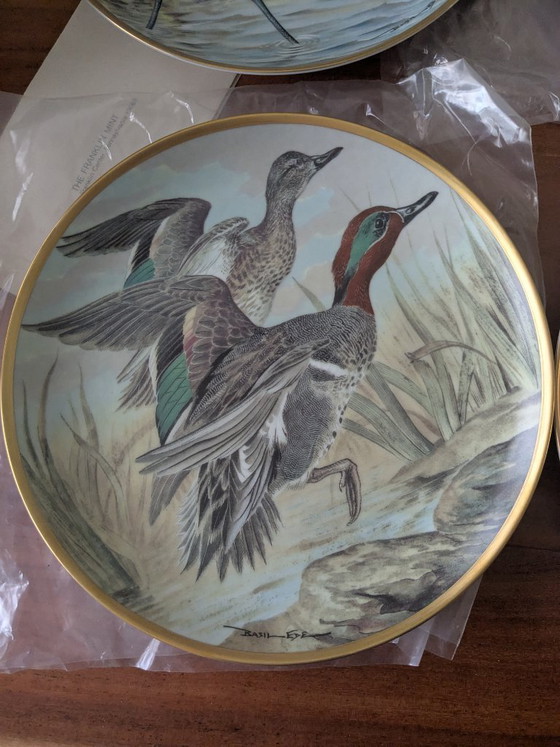 Image 1 of Basil Ede Oiseaux d'eau du monde, ensemble de 12 pièces avec système de suspension