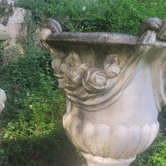 Image 1 of Vazen Medicis Zeer Groot Paar