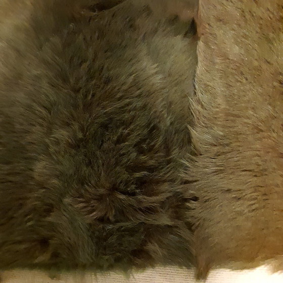 Image 1 of Minotti Kidassia-Teppich – 225 x 345