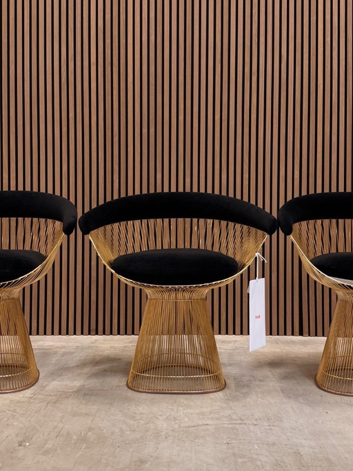 Sedia Knoll Warren Platner - Nero cashmere con dettagli dorati