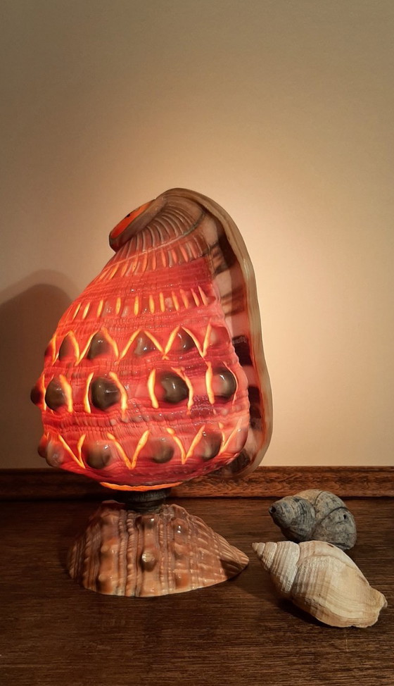 Image 1 of Cameo shell shade. Schelp tafellamp  jaren 20/30