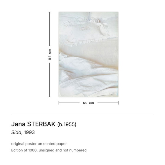 Jana Sterbak Poster Sida 1993 – Paper (photo 3 of 5)