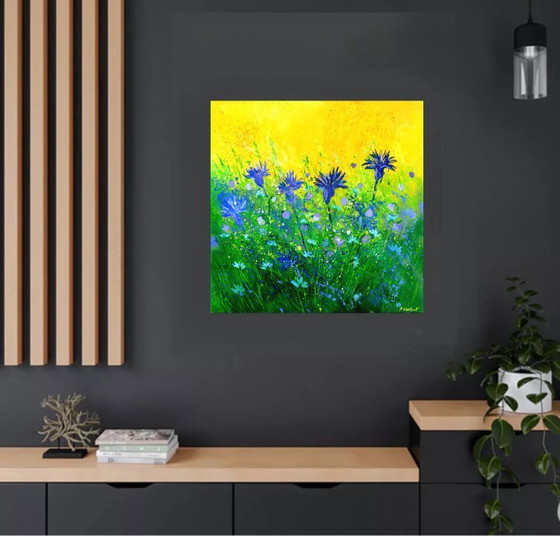 Image 1 of Cornflowers