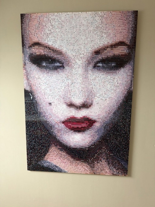 Anna Halm Schudel - Peinture en mosaïque photographique