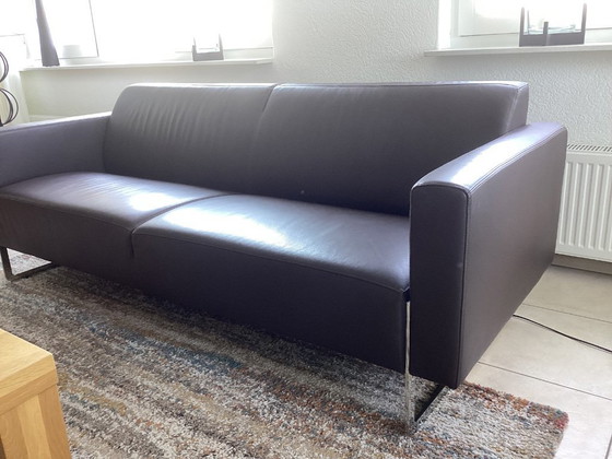 Image 1 of Artifort Mare 2 1/2 seater sofa in brown leather