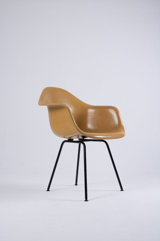 Image 1 of DAX Eames en fibre de verre – Light Ocre – Herman Miller / Vitra – circa 1965-1975